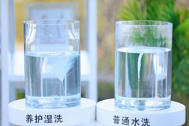 未命名-7.jpg